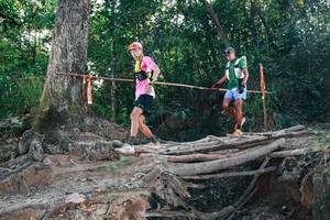 BIB: 
                            <button type="button" onclick="openModal(27306606)" class="btn btn-primary btn-sm float-right btn-popup" data-toggle="modal" data-target=".modal-high-quality">
                        <i class="fas fa-shopping-cart"></i> Add to Cart
                    </button>
                                            <button type="button" onclick="isThisMe(27306606, true)" class="btn btn-success btn-sm float-right btn-popup btn-isme hidden" data-toggle="tooltip" data-placement="bottom" title="นี่คือรูปของคุณใช่ไหม คลิกที่นี่เพื่อเอาเข้าอัลบั้ม">
                        <i class="fas fa-plus"></i> Add to album
                    </button>
                    <button type="button" onclick="isThisMe(27306606, false)" class="btn btn-warning btn-sm float-right btn-popup btn-isnotme hidden">
                        <i class="fas fa-ban"></i> Remove from album
                    </button>